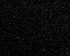 ACC Automotive Carpet Compatible with 1976 to 1981 Chevrolet Camaro, Automati…