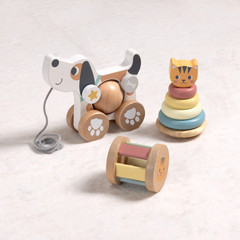 Wooden Dog Pull Along Toy Cat Stacking Rings Baby Toddler Learning Toy Set
