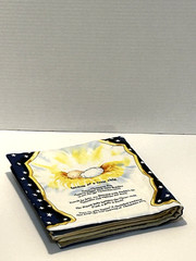 Beautiful “Little Light” Handmade Soft Quilted Fabric Children’s Book/Joy Allen