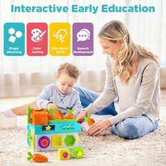 Learning Toys for 1,2 Year Old Girl Boy Gifts, Montessori Shape Sorting Toys …