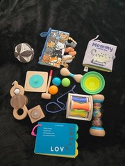 Lovevery Mixed Lot Wooden Montessori Baby Toddler Toy Bundle