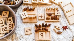 Educational Montessori Math Manipulatives