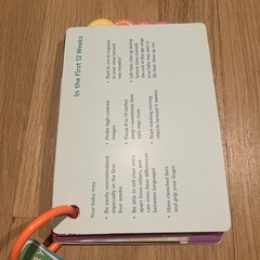 Lovevery The Play Gym Guide Book Activities for Play 0-12 Months Montessori