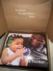 Lovevery The Thinker Play Kit For Ages 11 & 12 Months Learning – Open Box