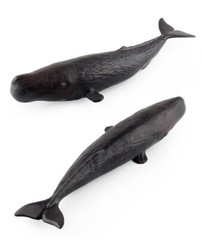 Boys Girls Sea Creatures Models Realistic Whale Figure Soft Plastic Animal Toys