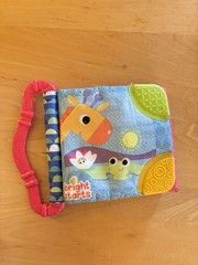 Bright Starts Jungle Cloth Activity Book Baby Toy, Multicolor