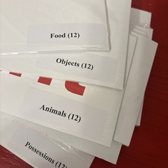 Glenn Doman Teach Your Baby to Read Word Cards