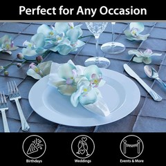 Lillian Tablesettings Premium Quality Heavyweight Plastic Plates China Like. …