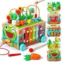 Toddler Wooden Montessori Toy for 1 2 3 Year Old Toys, Educational Stem Toy f…