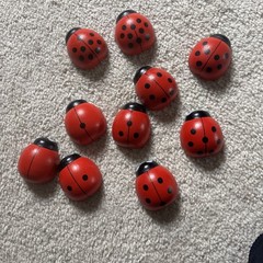 Counting Ladybugs Montessori Wooden Toy Sorting & Counting Skills Incomplete Set