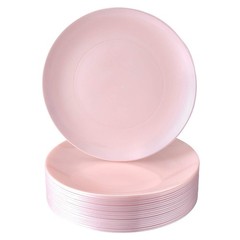 SILVER SPOONS Modern Design Disposable Plastic Dinner Plates for Party (10 PC…
