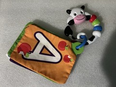BABY EINSTEIN Take Along Discovery Cards Clip-on 10 Images Crinkle Teether Toy.