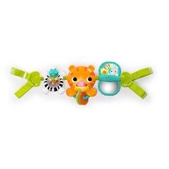 Bright Starts Take Along Musical Carrier Baby 1 Count (Pack of 1),