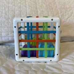 Fat Brain Toys Inny Bin Baby Sensory Develop Learn Shape Sorter Montessori Used