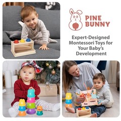 Pine Bunny Montessori Wooden 11-in-1 Toy Set for 10+ Months, Cylinder Block,…