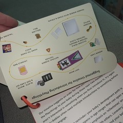 Lovevery: The Charmer Play Guide 3-4 Months