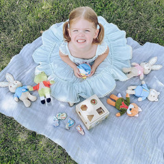 KIDS PREFERRED Beatrix Potter Peter Rabbit Wooden Shape Sorter for Toddlers, Inc