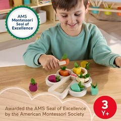 Fisher-Price Wood Montessori Toy Sorting Tree – American Montessori Society