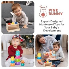 Pine Bunny Montessori Wooden 11-in-1 Toy Set for 10+ Months, Cylinder Block,…