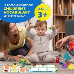Sorting Toys for Toddlers Fine Motor Montessori Preschool Education LearningToys