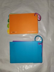 Lovevery Play Guides, 19-21 Months & 22-24 Months