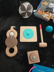 Lovevery Mixed Lot Wooden Montessori Baby Toddler Toy Bundle