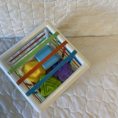 Fat Brain Toys Inny Bin Baby Sensory Develop Learn Shape Sorter Montessori Used