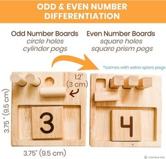 Educational Montessori Math Manipulatives