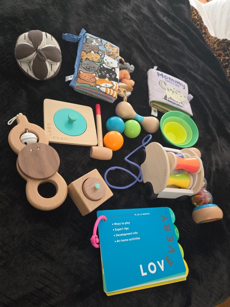 Lovevery Mixed Lot Wooden Montessori Baby Toddler Toy Bundle