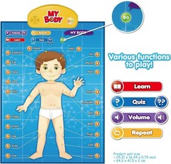 Interactive Educational Anatomy Toy – i-Poster My Body for Kids Ages 5-12