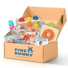 Pine Bunny Montessori Wooden 11-in-1 Toy Set for 10+ Months, Cylinder Block,…