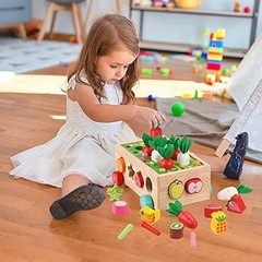 Wooden Montessori Shape Sorter Toy Toddler Ages 1-3 Preschool Fine Motor