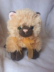 Cute Plush Cat Stuffed Animal Toy Fluffy Kitten Doll