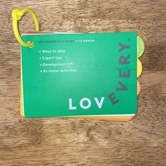 Lovevery The Thinker Play Guide 11-12 Months