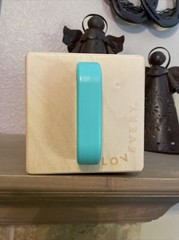 LOVEVERY Wooden Lock Box Latches “The Realist” Box Montessori Learning Toy