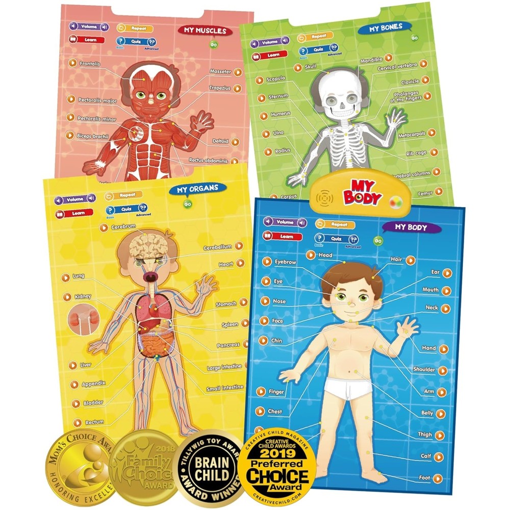 Interactive Educational Anatomy Toy – i-Poster My Body for Kids Ages 5-12