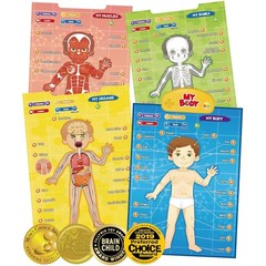 Interactive Educational Anatomy Toy – i-Poster My Body for Kids Ages 5-12