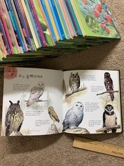 웅진다책 자연관찰 땅친구 물친구 Korean children books RANDOM 14 kid books 한국 책 한글 책 동화 어린이 14권