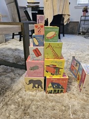 eeBoo Read to Me Tot Tower 10 Sturdy Stacking Nesting Blocks 18 Months+ Platinum