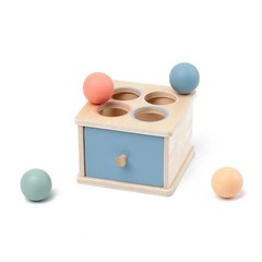 Montessori Toys for 1-3 Year Old Color Sorting Wooden Drawer Box Toy for Toddler