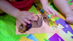 Three-Piece Puzzles – Educational Toy for Toddlers, Problem Solving, Hand-Eye