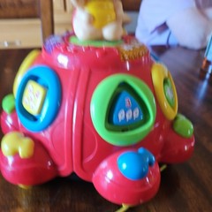 Vtech Crazy Legs Learning Bugs Lady Bug Educational Toy Singing Talking Lights