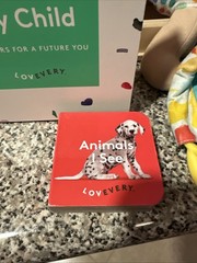 LOVEVERY Toys The Thinker Play Kit Months 11-12 Montessori Wood Incomplete SH7