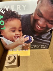 LOVEVERY Toys The Thinker Play Kit Months 11-12 Montessori Wood Incomplete SH7