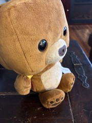 Fisher-Price Smart Toy Interactive Bear 11” Plush Bear  – Tested, Works!