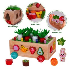 Toddlers Montessori Wooden Educational Toys for Baby Boys Girls Age 1 2 3 Year O
