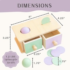 Montessori 2-in-1 Shape Sorter & Stacking Toy for Toddlers (1-3 Years)
