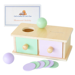 Montessori 2-in-1 Shape Sorter & Stacking Toy for Toddlers (1-3 Years)