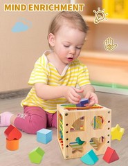 Montessori Toy for Toddlers, Shape Sorter for Babies, Wooden Shape Sorting Cube