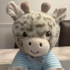 Dreamgro Record & Play Plush Giraffe Soother – Tested Working Playback Music